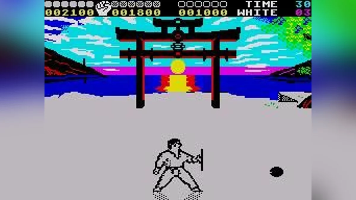 Скріншоти з International Karate +