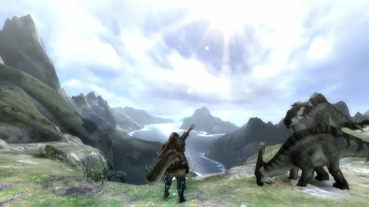Captures d'écran de Monster Hunter Tri / Image 13
