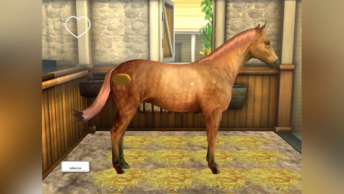 My Horse &amp; Me 2 image
