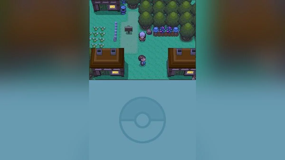 Capturas de tela de Pokémon Pearl Version / Imagem 39