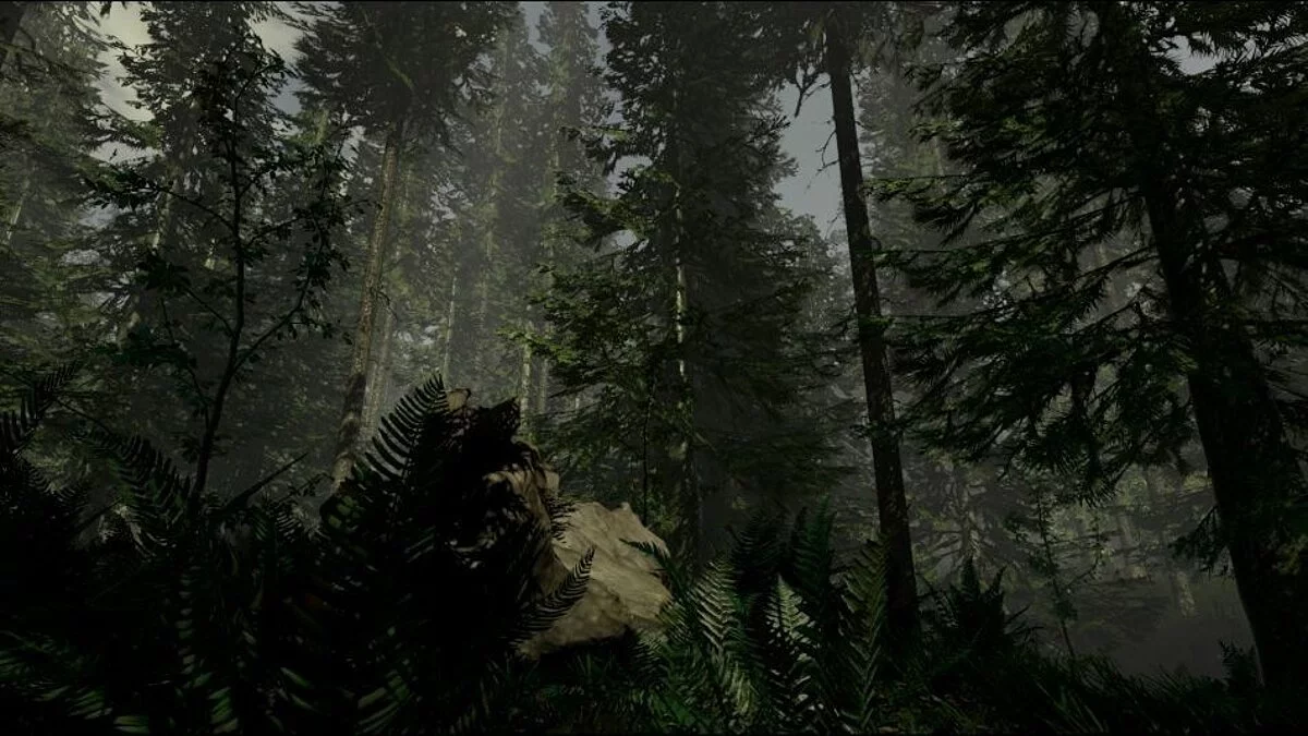Screenshots from The Forest / Image 15