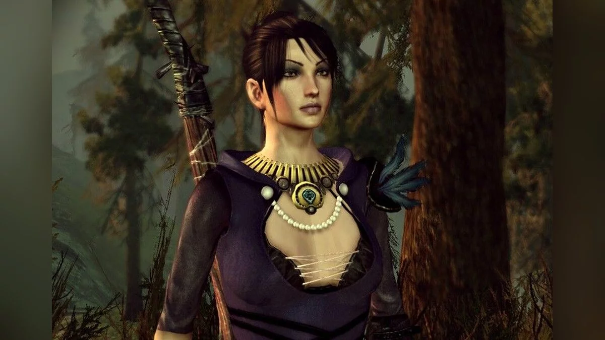 Дівчата з Dragon Age / Зображення 98
