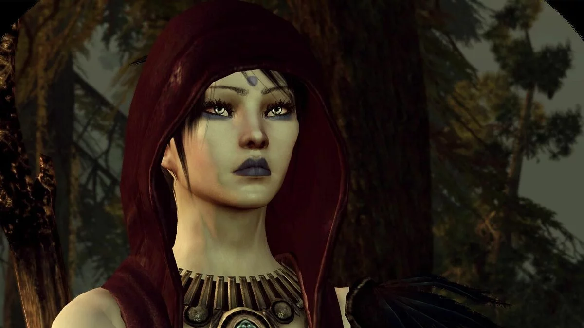 Дівчата з Dragon Age / Зображення 99