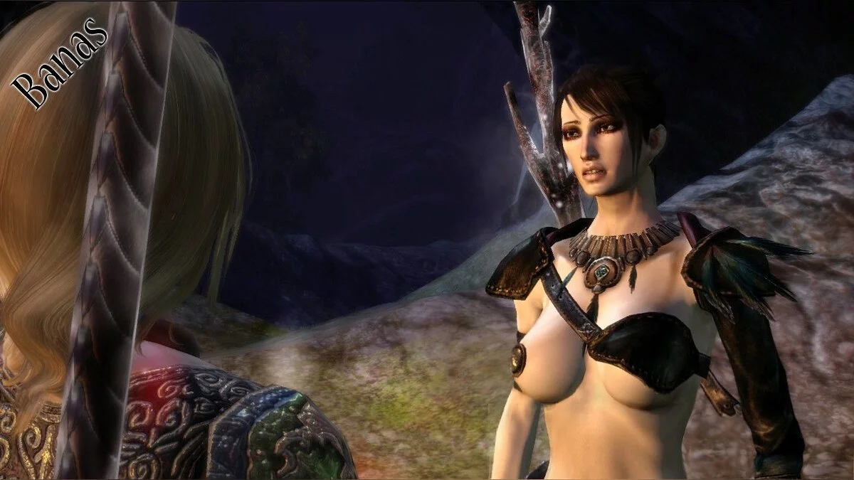 Дівчата з Dragon Age / Зображення 97