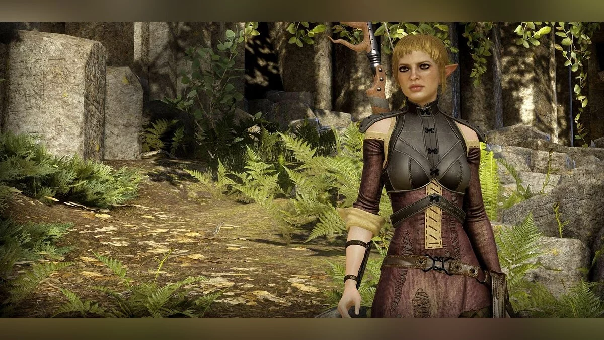 Дівчата з Dragon Age / Зображення 29