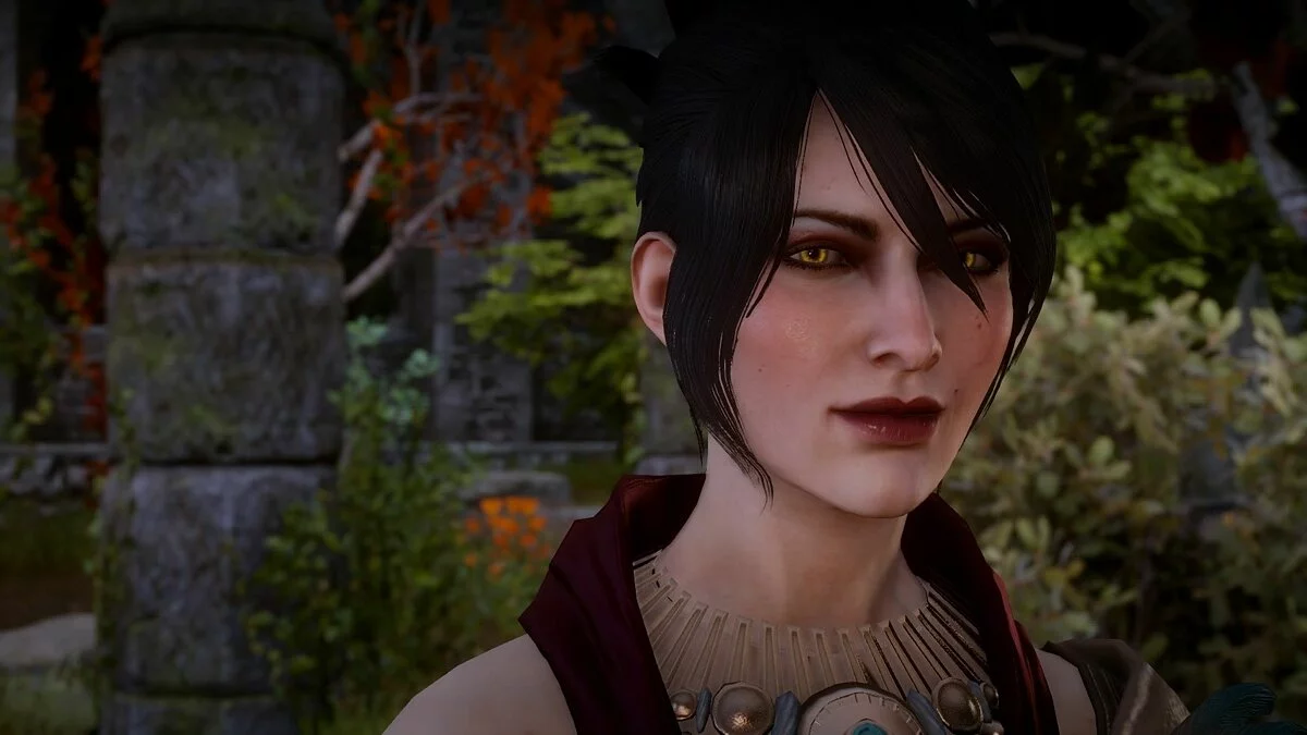 Дівчата з Dragon Age / Зображення 87