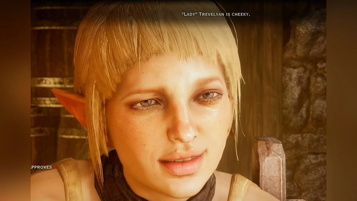 Дівчата з Dragon Age / Зображення 32
