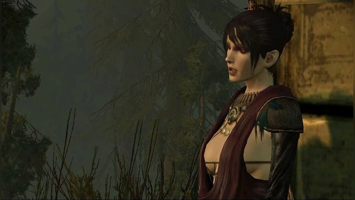 Дівчата з Dragon Age / Зображення 95