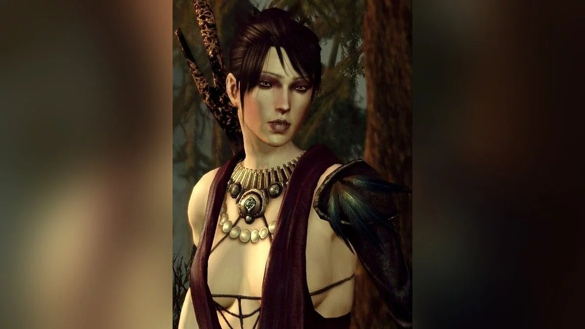 Дівчата з Dragon Age / Зображення 93