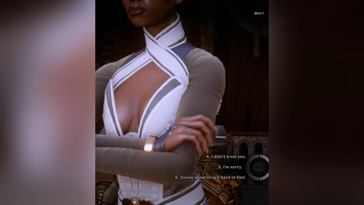 Дівчата з Dragon Age / Зображення 6