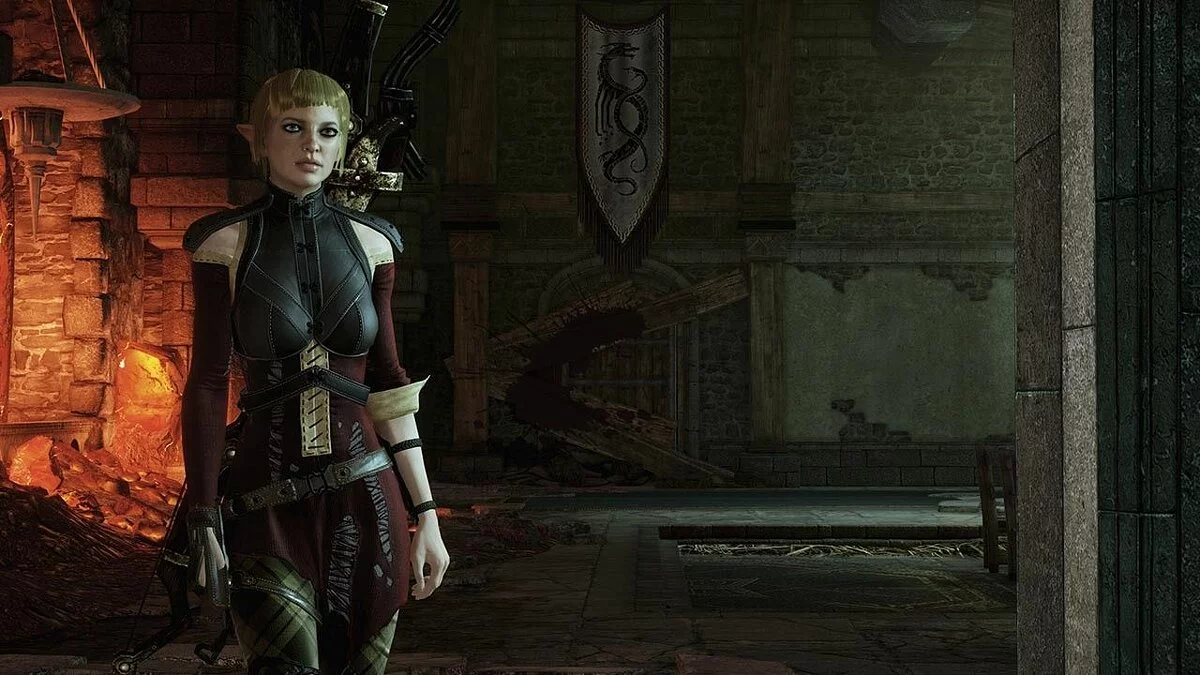 Дівчата з Dragon Age / Зображення 21