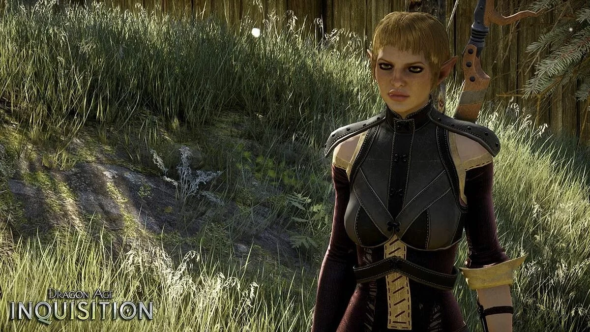 Дівчата з Dragon Age / Зображення 22