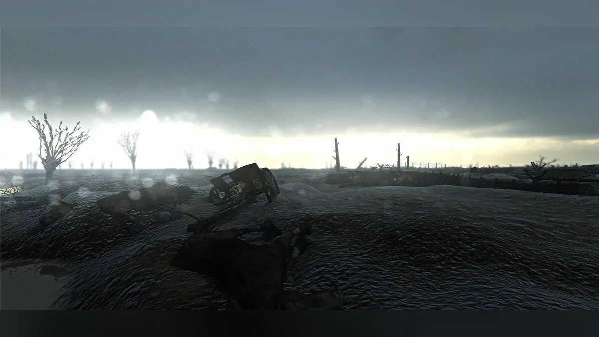 Captures d'écran de Verdun / Image 13