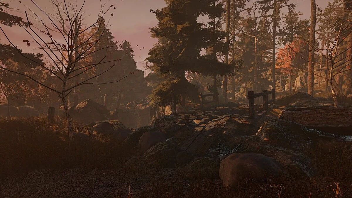 Screenshots from Through the Woods / Image 8
