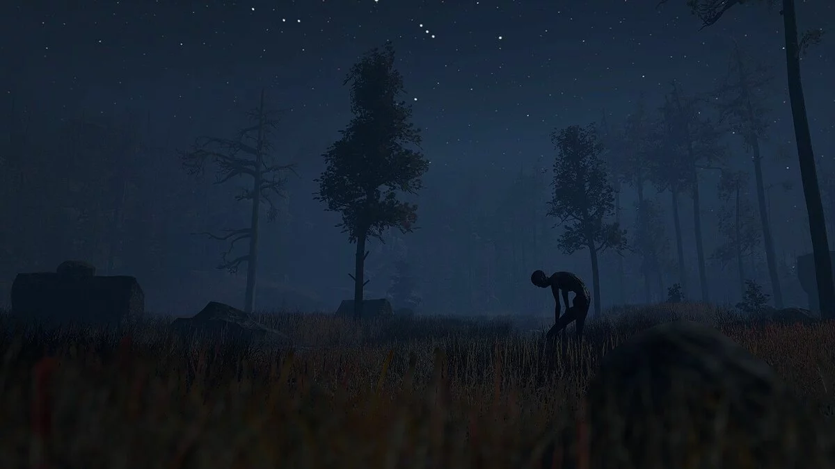 Screenshots from Through the Woods / Image 9