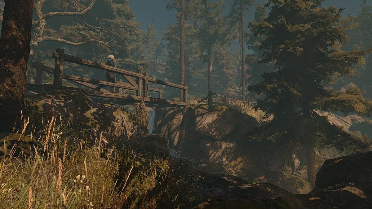 Screenshots from Through the Woods / Image 13