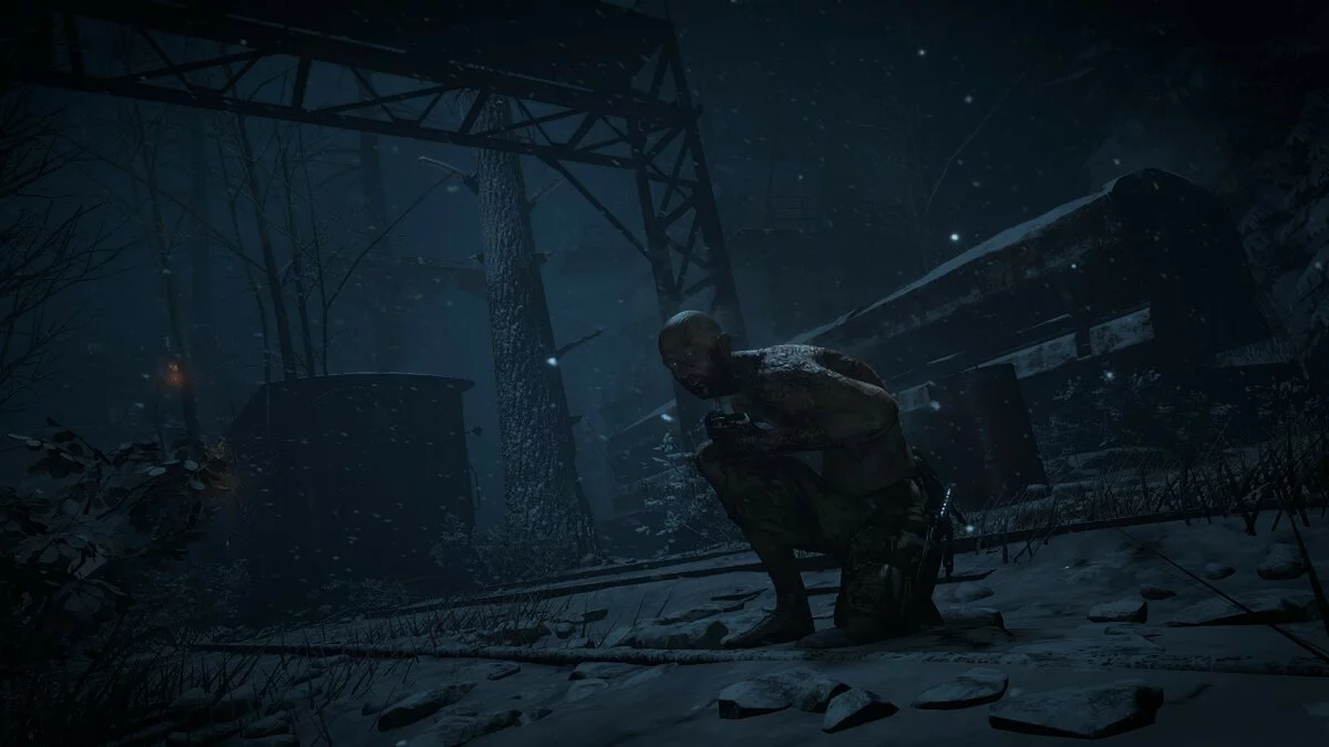 Zrzuty ekranu z Rise of the Tomb Raider / Obrazek 5