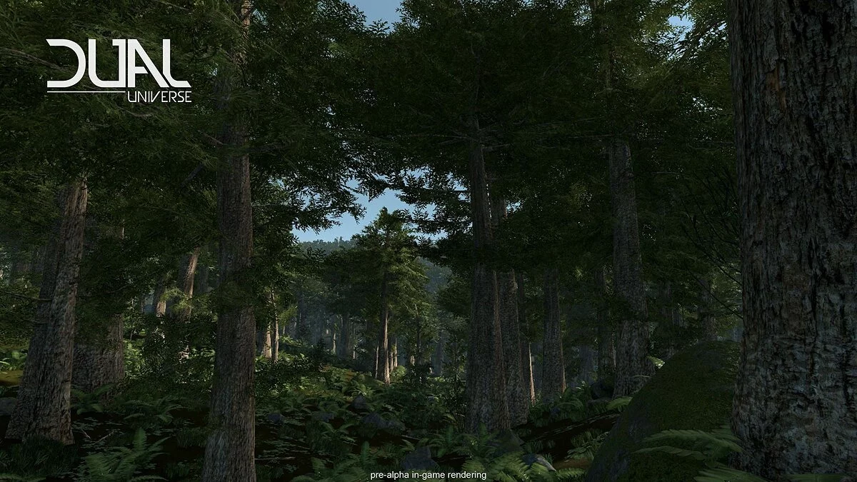 Picture from 