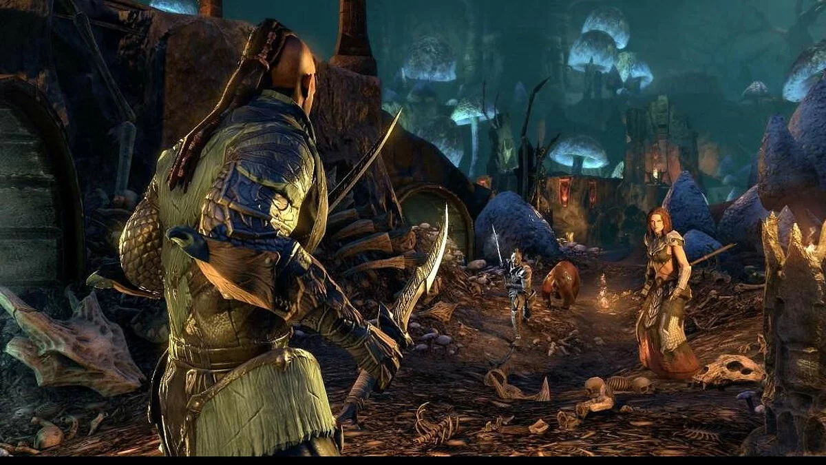 来自 The Elder Scrolls Online 的截图 / 图片 51