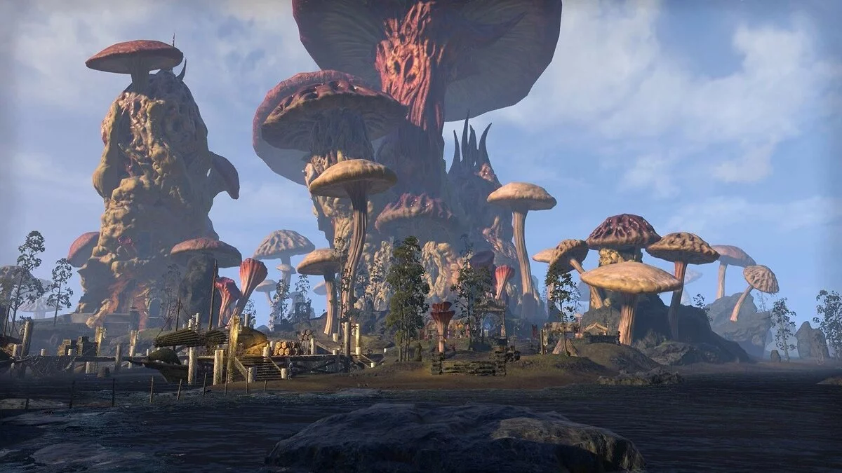 来自 The Elder Scrolls Online 的截图 / 图片 68