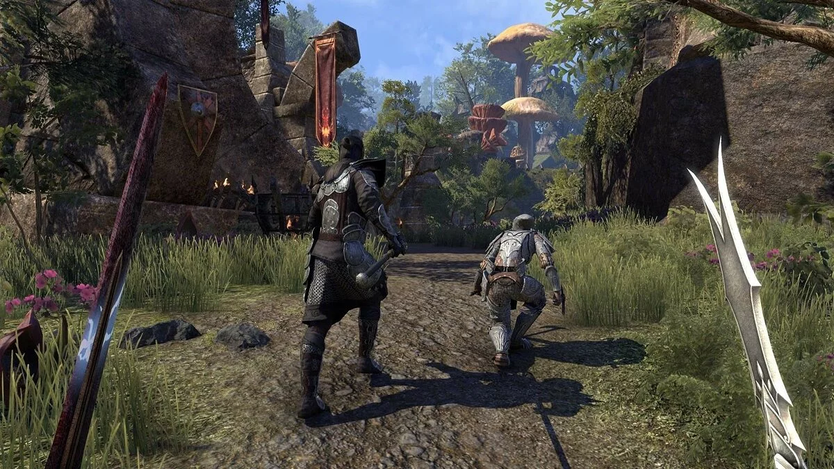 来自 The Elder Scrolls Online 的截图 / 图片 75