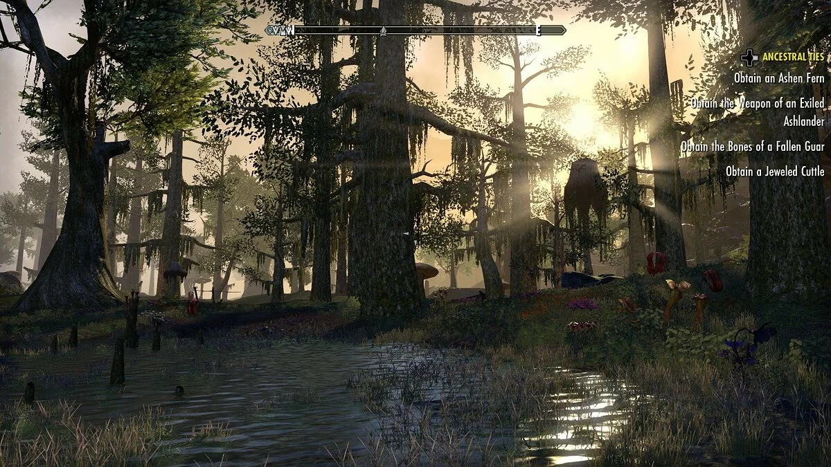 来自 The Elder Scrolls Online 的截图 / 图片 93