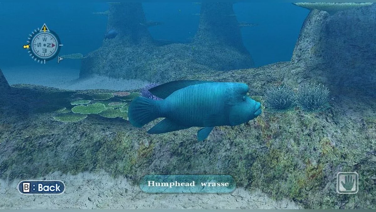 Screenshot dari Endless Ocean / Gambar 1