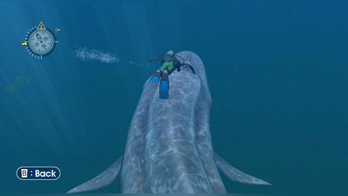 Screenshot dari Endless Ocean / Gambar 4