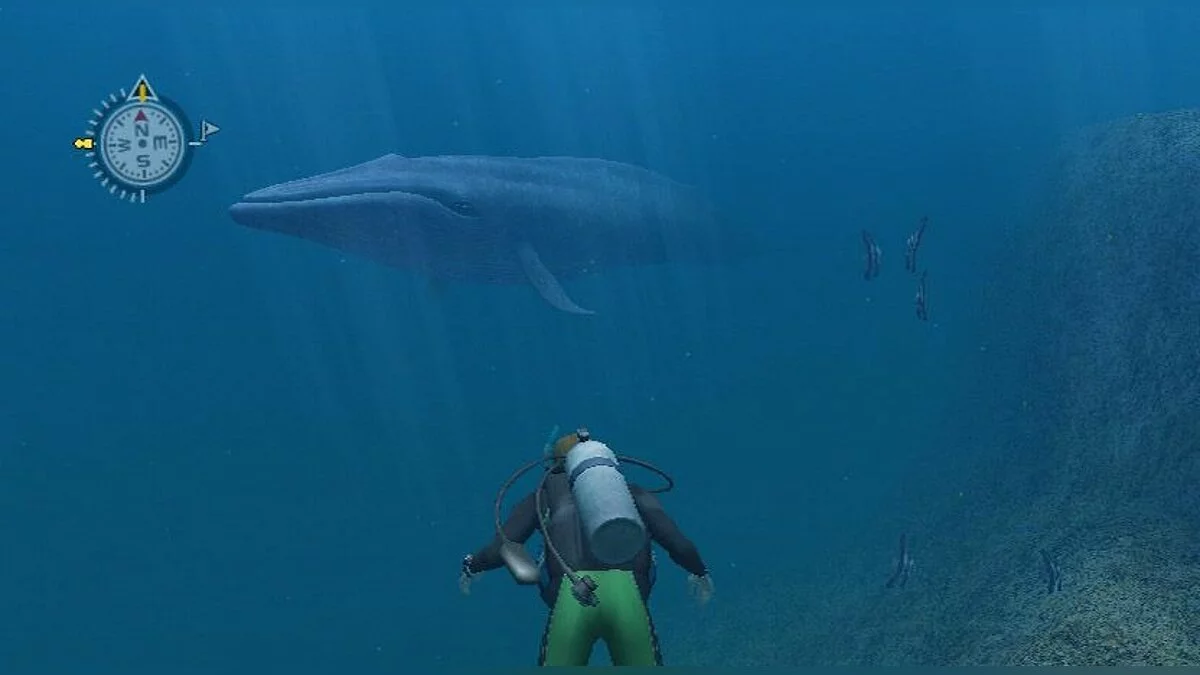 Screenshot dari Endless Ocean / Gambar 5