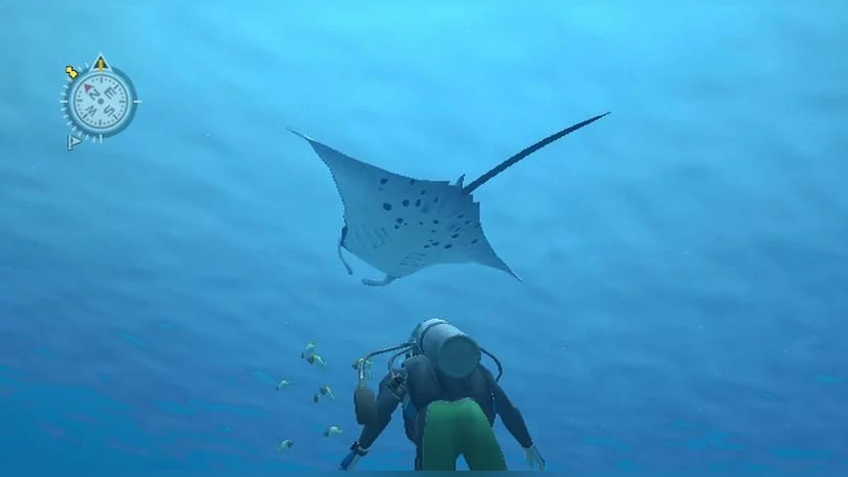 Screenshot dari Endless Ocean / Gambar 13