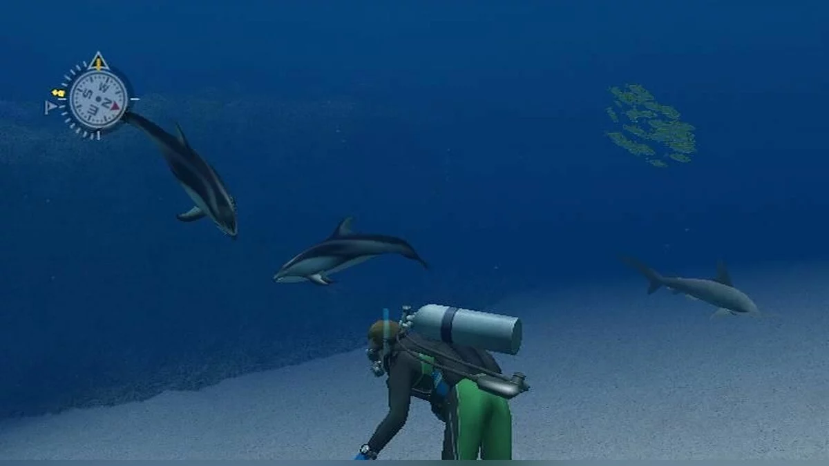 Screenshot dari Endless Ocean / Gambar 18