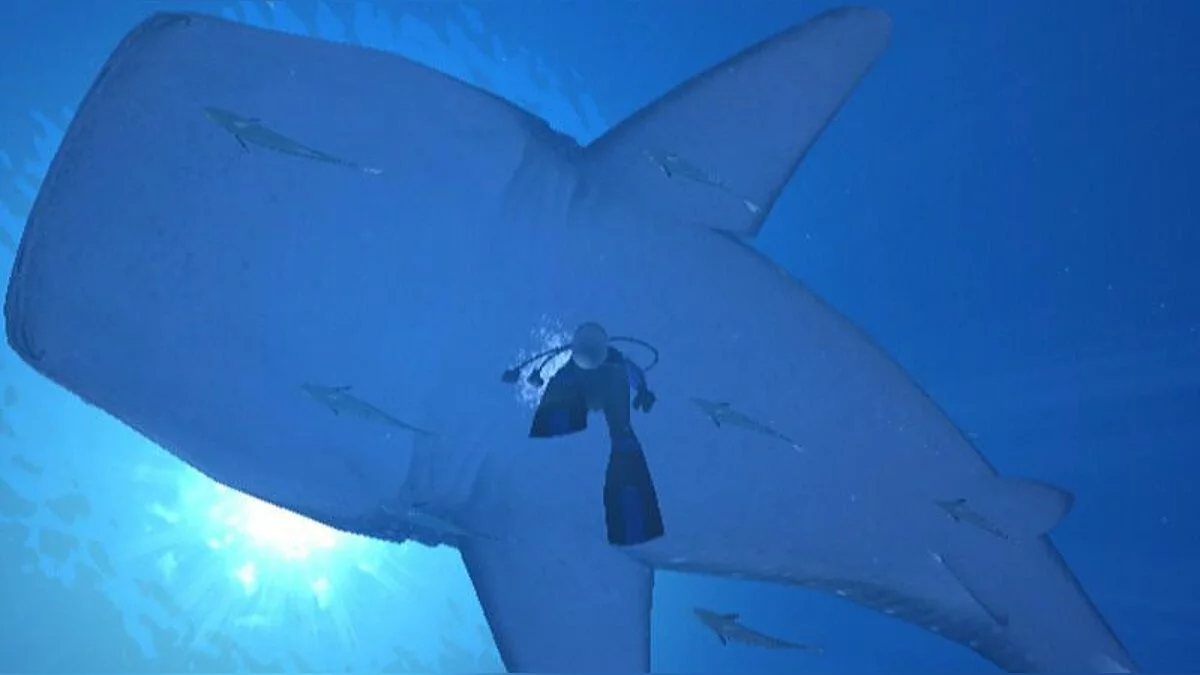 Screenshot dari Endless Ocean / Gambar 89