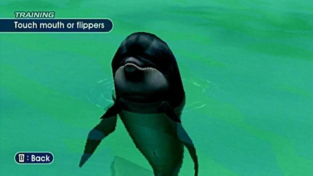 Screenshot dari Endless Ocean / Gambar 99