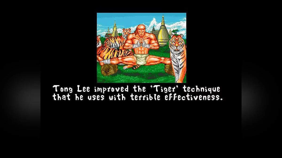Screenshots from Fightin' Spirit / Image 48
