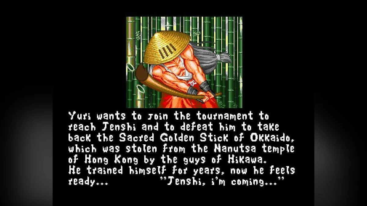 Screenshots from Fightin' Spirit / Image 65