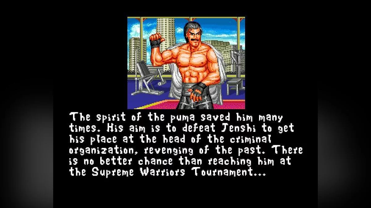 Screenshots from Fightin' Spirit / Image 73