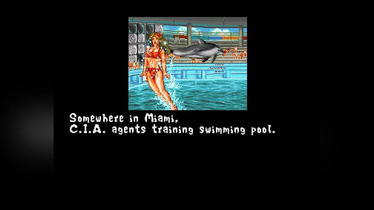 Screenshots from Fightin' Spirit / Image 91