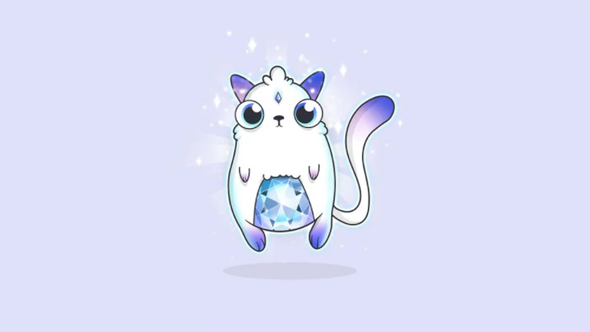来自  的图片