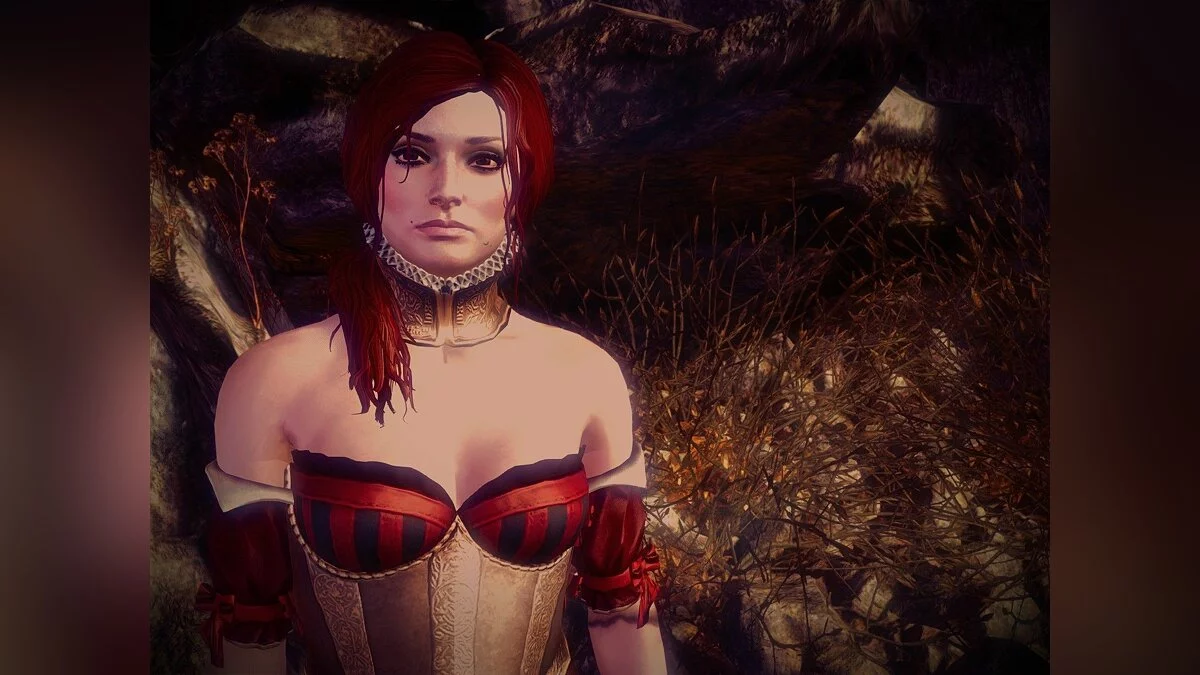 Дівчата з Witcher / Зображення 32