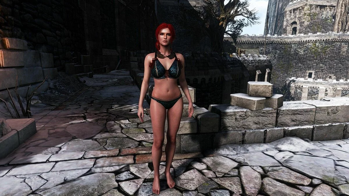 Дівчата з Witcher / Зображення 141