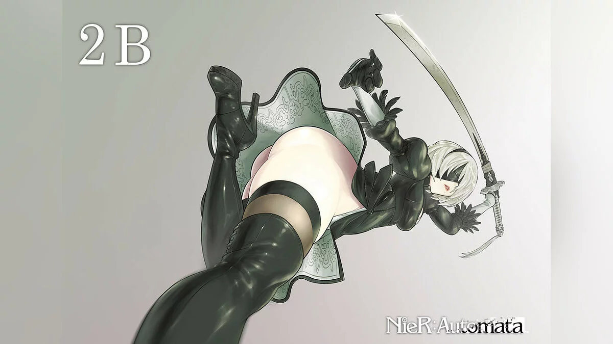 Дівчата з NieR / Зображення 42