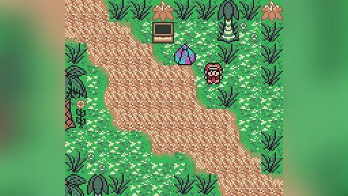 Picture from 