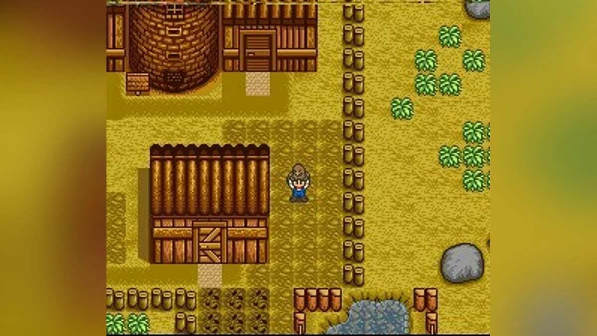 Screenshots from Harvest Moon / Image 45