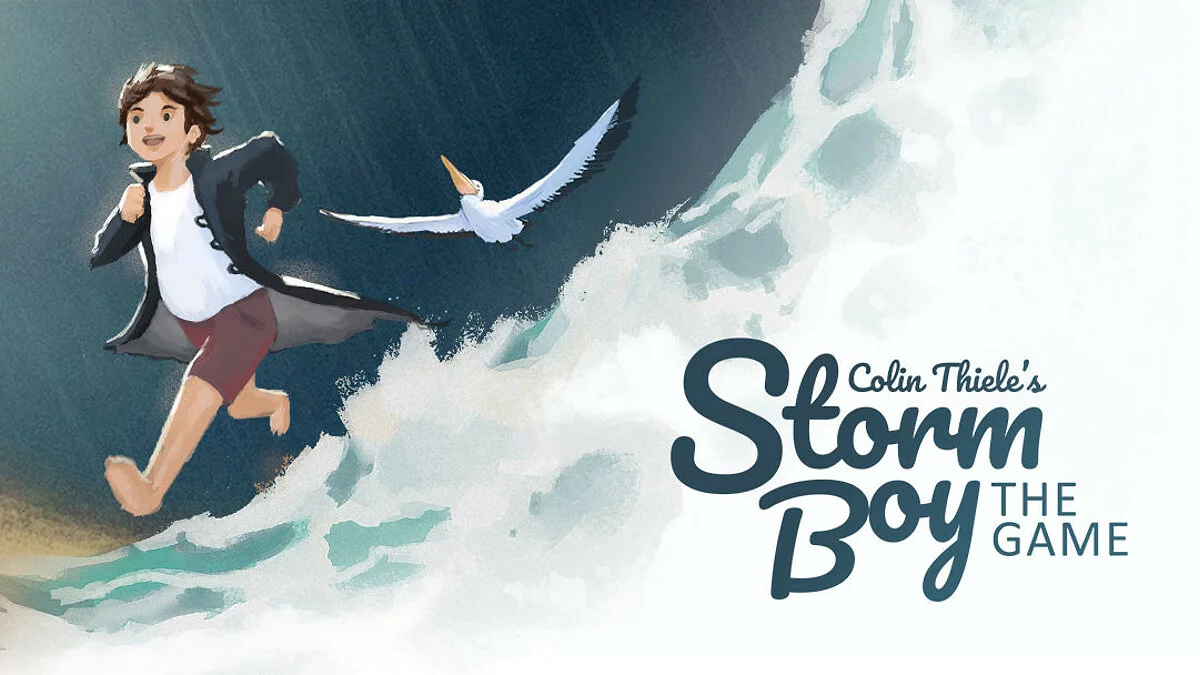 Arte de Storm Boy: The Game / Imagem 1