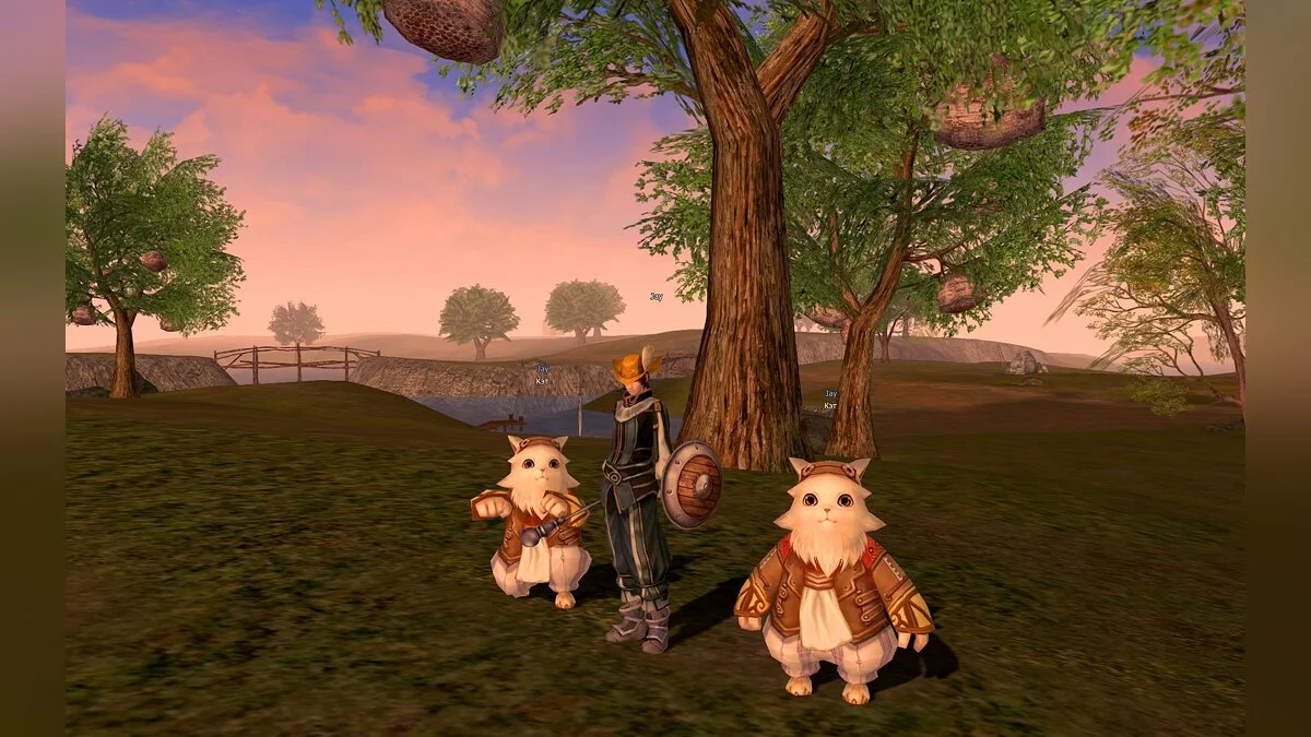 Lineage 2 Legacy image