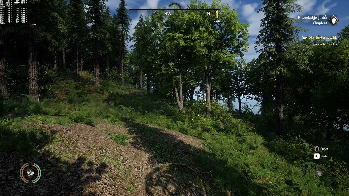 Posnetki zaslona iz Medieval Dynasty / Slika 43