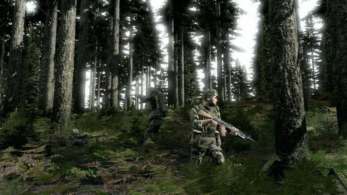 Screenshots from ArmA 2 / Image 72