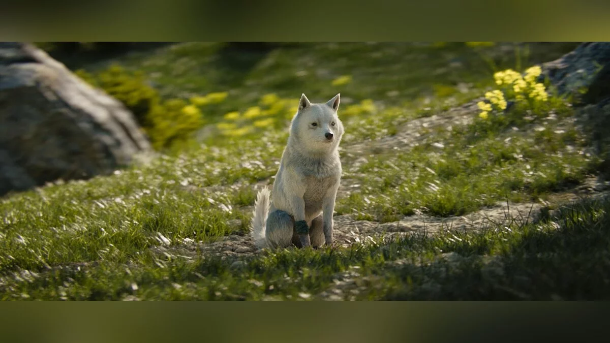 来自 Final Fantasy XV: Comrades 的截图 / 图片 212