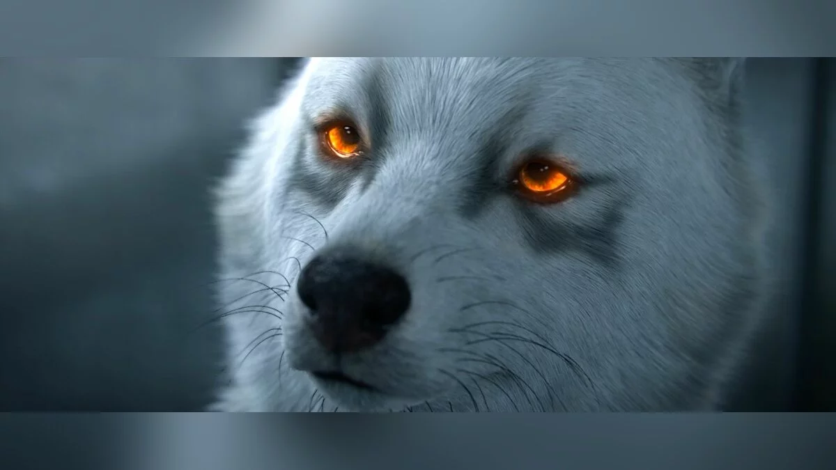 来自 Final Fantasy XV: Comrades 的截图 / 图片 217