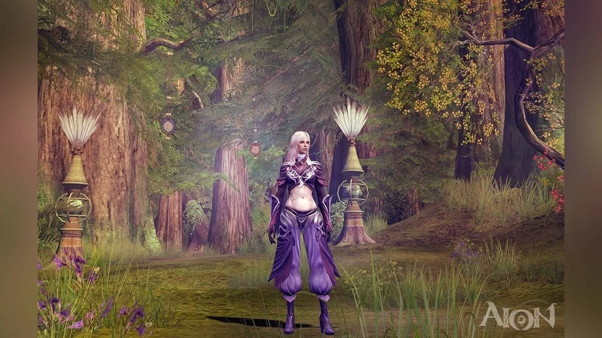 Captures d'écran de Aion / Image 13